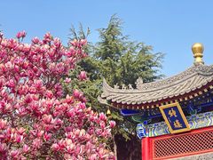 -西安市广仁寺