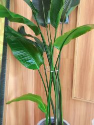 -丝客富脱发养发头皮馆