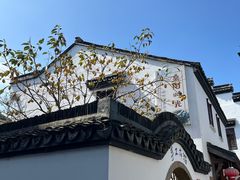 -丝绸小镇荻港古村