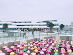 -野狸岛