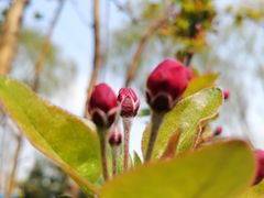 -永定河休闲森林公园