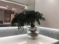 -三只熊皮肤管理中心旗舰店