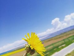 -青海湖国家重点风景名胜区