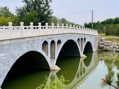 -马家湾湿地公园