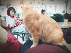 -Vanillacafe香草咖啡(银海大世界店)