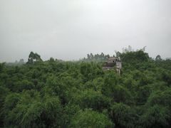 -开平碉楼文化旅游区马降龙景区