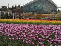 -石家庄市植物园