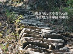 -天目山大树王景区