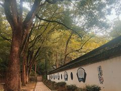 -上海佘山国家森林公园天马山园