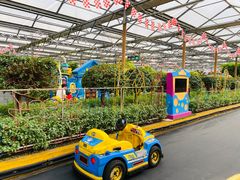 -南宫五洲植物乐园