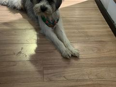 -秋果S酒店(深圳会展中心联合广场店)