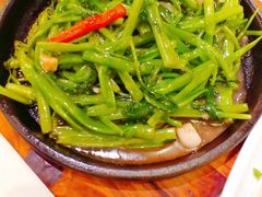 虾酱通心菜梗-清晖小苑•顺德地方菜(壹海城店)