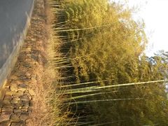 android_upload_pic-苏州环秀晓筑养生度假村