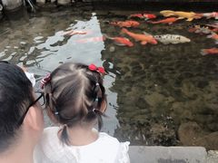 -前童古镇