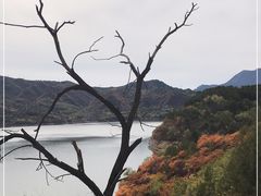 -白河堡水库