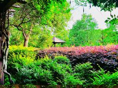 -白马涧龙池景区