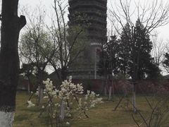 -西海子公园