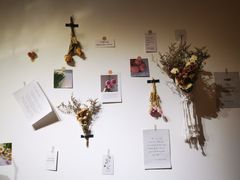 -HALF ORANGE 半个橙子