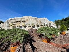 -北京西山国家森林公园