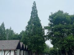 -太阳岛度假酒店