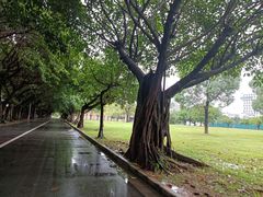 -五邑大学