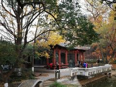 -南京古林公园
