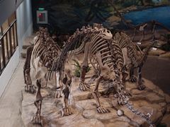 -自贡恐龙博物馆