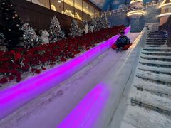 -世界之窗阿尔卑斯冰雪世界