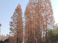 -上海大学(宝山校区)