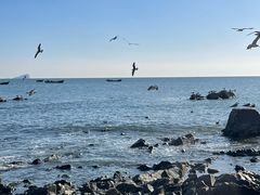 -银沙滩浴场