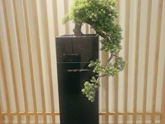 -大鹏饭店·金陵家宴(奥体中心店)