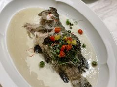 老虎斑-伯衡55·吉品轩(乌鲁木齐南路店)