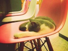 iphone_upload_pic-22cafe