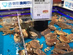 水产区-盒马鲜生(联投广场店)