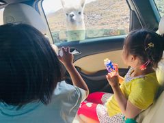 -新疆天山野生动物园