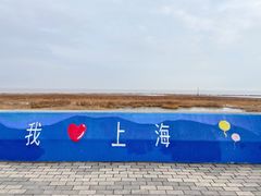 -南汇嘴观海公园