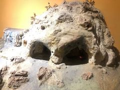 -安塔利亚博物馆