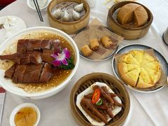 -泉龙渔村·粤式早茶·金牌烧鹅(中山三乡店)