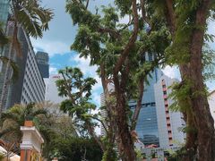 -老伴豆花(麦士威熟食中心店)