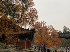 -香山公园