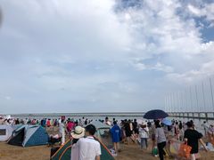 -碧海金沙