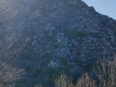 -北京鹫峰国家森林公园