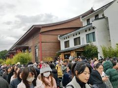 -龙华素斋(龙华路店)