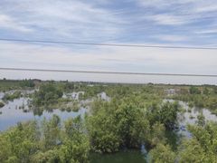 -黑河国家森林公园