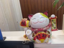 -金美秀养生瘦身