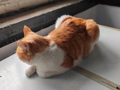 -鸡鸣驿城