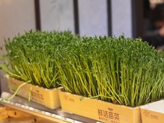 -牛New寿喜烧(青浦店)