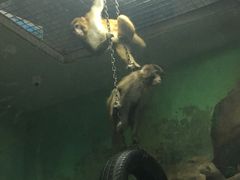 -福州罗源湾海洋世界旅游区