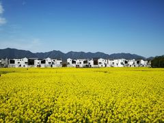 -东梓关景区村庄