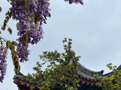 -济南大明湖景区